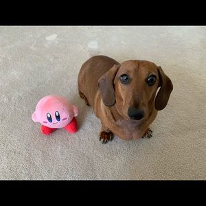 Meet your Posher, Donna